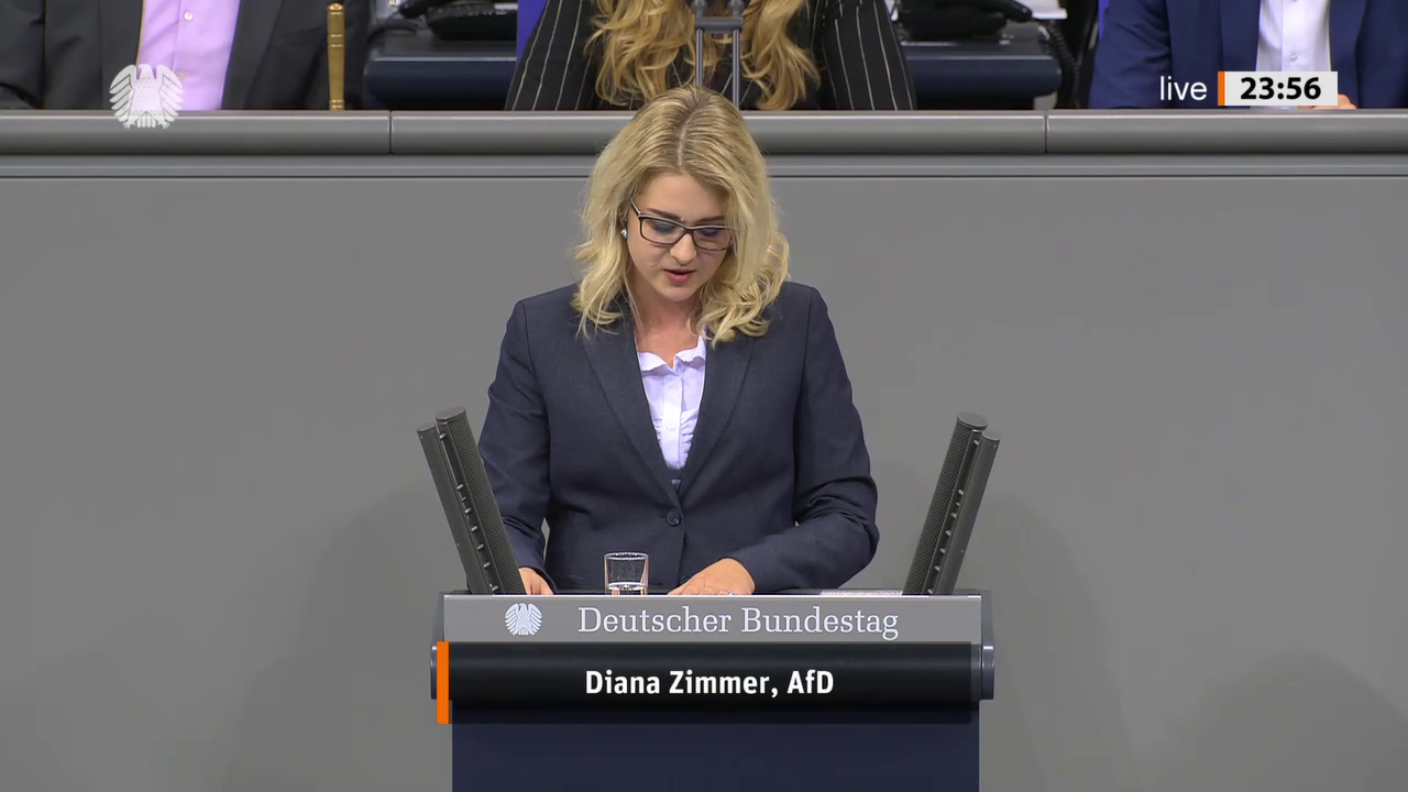 Diana Zimmer bei einer Bundestagsrede · Standbild vom 2026-10-08